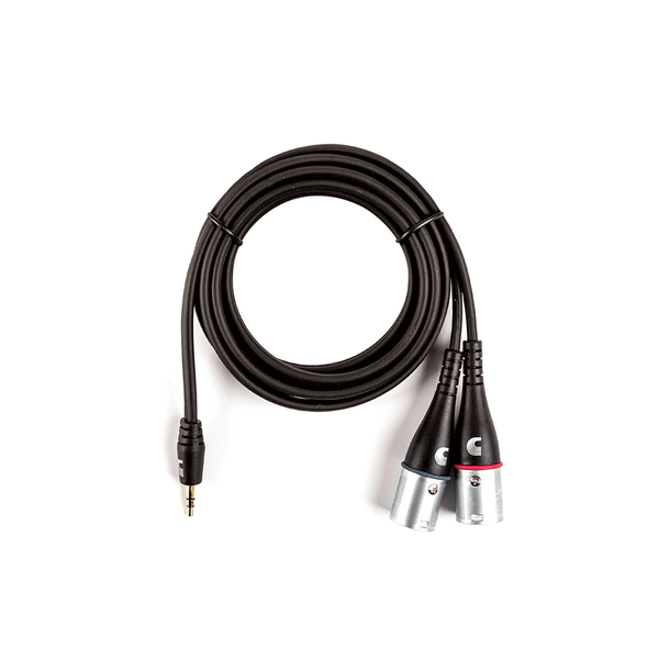 D'Addario Custom Series 1/8” to Dual  XLR Audio Cable