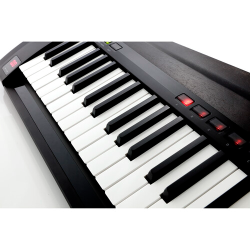 Korg RK-100S v2 37-Note Keytar, Black