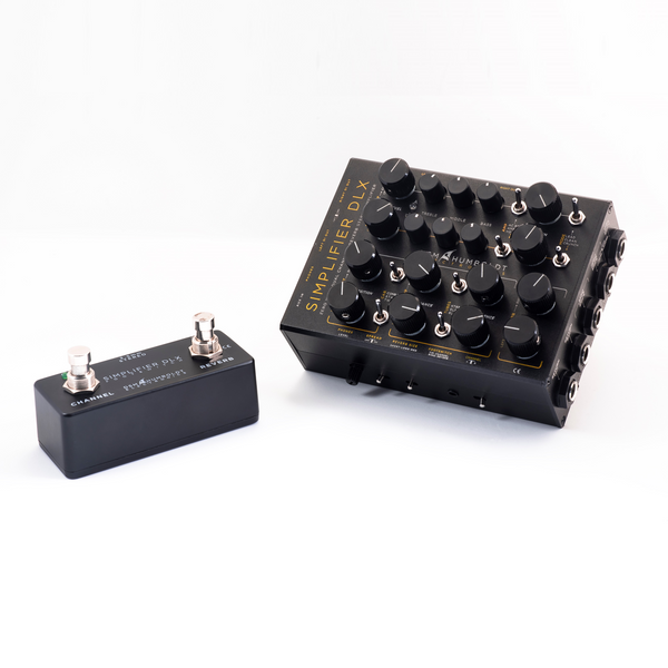 DSM Simplifier DLX zero watt dual channel & reverb stereo amplifier