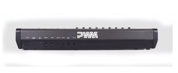 PWM Malevolent analog monophonic semi-modular synthesizer